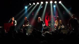 Radio Birdman "Zeno Beach" live Berlin 6.07.2016