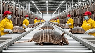 Inside the Armadillo-Shell Factory: From Armor Plates to Luxury Goods (Full Process)