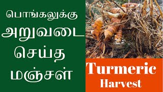 நீங்களும் எடுக்கலாம் மஞ்சள் அறுவடை - My turmeric Harvest 2022