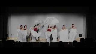 21st Annual Culture Show: Girls' Fan | Ohio State VSA