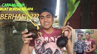 #bonsaikelapa                                                             BONSAI KELAPA UNTUK PEMULA