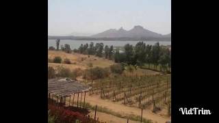 A day at vallonne vineyard | Tasting session| Igatpuri | Nashik