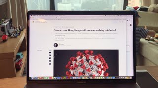 CORONAVIRUS: Segundo Cão Infectado em Hong Kong