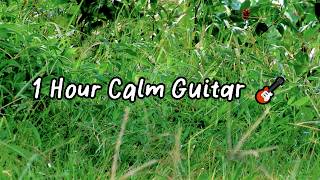 Guitar Relaxing Music 1 Hour for Calm Mind and Stress Relief | Smooth Acoustic Session