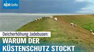 Sturmflut-Angst an der Weser: Kommt der Deichbau 2027? | Panorama