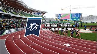 Springfield College Classic | Outdoor Track and Field Live Stream 2023