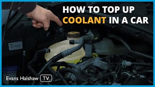 How to Check Coolant Levels in Your Car and Top It Up | Step-by-Step Guide