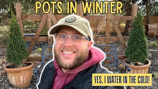 Winter Care for Potted Plants: Trees, Shrubs & Perennials Explained