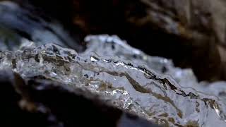 Deep sleeping music video with nature 100% sleeping music +yoga music