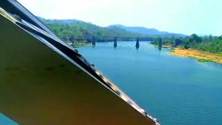 क्या खुबसूरत दृश्य है जंगलों के बीच