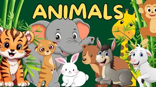 Wild Animals for kids | Pet, Farm Animals | Animals Name and Sound | Toddlers Educational Video