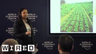 Engineering Sustainable Biofuels: A World Economic Forum Discussion-Ideas @Davos-WIRED Live