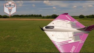 RadioLink D460 RC Wing: Full Flight Video!