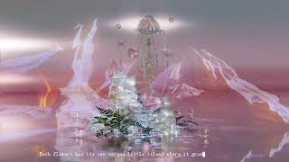 Digital Cemetery | video
