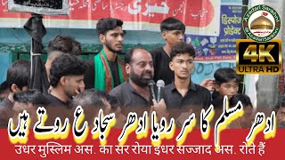 Udhar Muslim Ka Sar Roya  || Mirza Sardar Ali || Juloos e Amari Sankhni 1447 / 2025