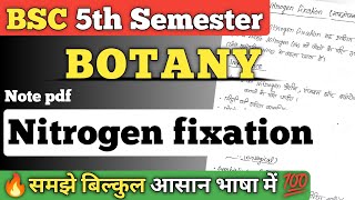 Nitrogen fixation hindi notes pdf || bsc 5th semester Botany ||#nitrogenfixation #bscnotes #bschindi
