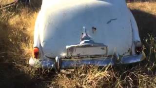 Classic old barn field finds