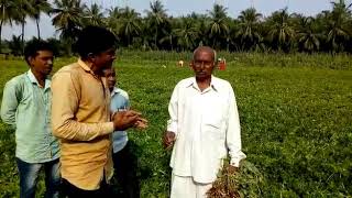 નેટસર્ફ મગફળી રિજલ્ટ હિતેશ ભાઈ બાકૂ 9426167035