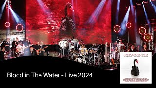 Mandoki Soulmates - Blood In The Water (Live)
