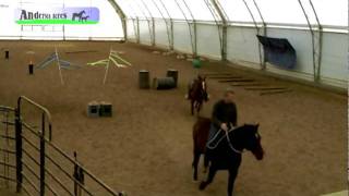 Andersen Acres Extreme Mustang Makeover - first ride