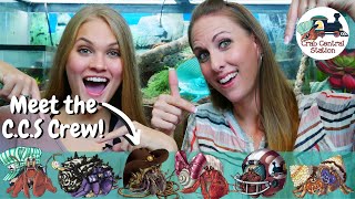 Welcome to Crab Central Station || Meet the CCS Crew