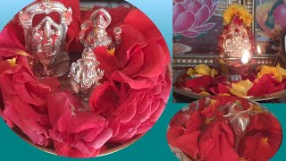 Radhasaptami puja|| రధసప్తమి కి నేను చేసుకున్న పూజ