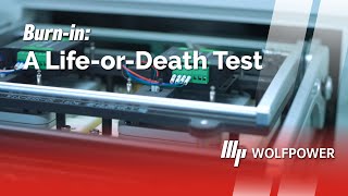 Burn-in: A Life-or-Death Test