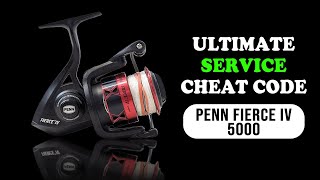 Penn Fierce IV 5000 Service Tutorial