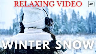 💨 Winter Storm Ambience with Icy Howling Wind Sounds for Sleeping, Relaxing and Studying Background.