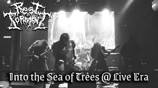 REST IN TORMENT - Into the Sea of Trees (Live @ "Live Era" 11/07/25)