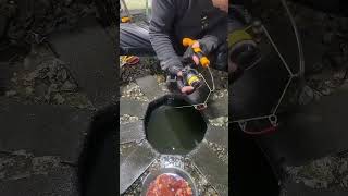 ☣️ Fishing pro/Lobster, Crab, and Fish Hunt