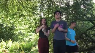 Hold Back the River by James Bay in ASL - Music Video