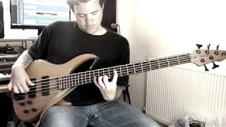 Mike Pitman - Weather Report - Havona cover