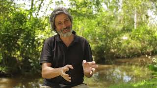 Fernando Rodriguez - violín -