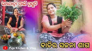 ଆମ ବାଡିର Fresh Fresh ସଜନା ଶାଗ ଆଉ ରଥଯାତ୍ରା ପାଇଁ  ପ୍ରସ୍ତୁତି || Healthy  Drumstick Leaves Recipe