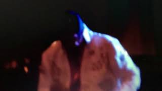 D Wayne Forbus - Live at Brentwood