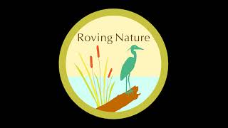 E5: Look, Listen & Learn | Jim Gant