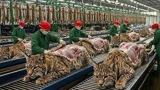 Bobcat Leather Factory Documentary | From Raw Skin to Million-Dollar Products