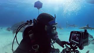 World's Best Shark Dive, "Tiger Beach" in 360VR -Jim Abernethy   265   VID 20250215 111520 00 019