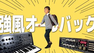強風オールバック 小学ニ年生が歌ってみた 【MIYA & REO】カバー Yukopi