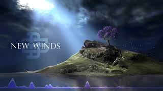 Darsh Shah - New Winds