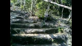 Aloguinsan Cebu - Bojo River boardwalk trek [5]