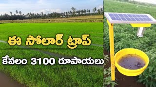 solar insect trap Low cost | fruit fly trap | height Adjustment for light trap |Ravi solar solutions