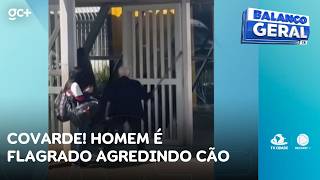 Coward! Man caught abusing dog | Balanço Geral CE