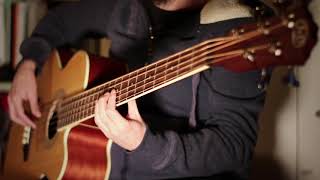 Orion (Acoustic Bass Solo) - Metallica (By Vincenzo Marretta)