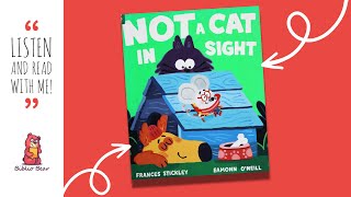 🐈 Not a Cat in Sight 🐈 Storytime Read Aloud Picture Book For Kids
