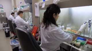 Accelerate Research for a Cancer-Free World!