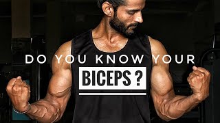 Know your Biceps workout 🔥 #bicepsworkout