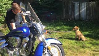 Sam Learning About Motorcycles (Circa 2016)