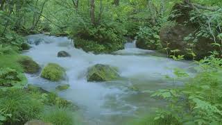 FREE VIDEO | Nature | Water | Flowing Sea | sea Waves | Waterfalls | Stream | No Copyright Videos